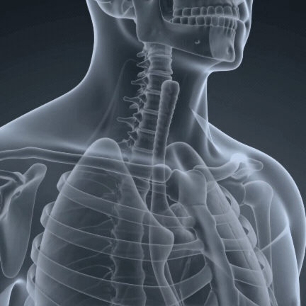 Understanding Upper Digestive Comfort